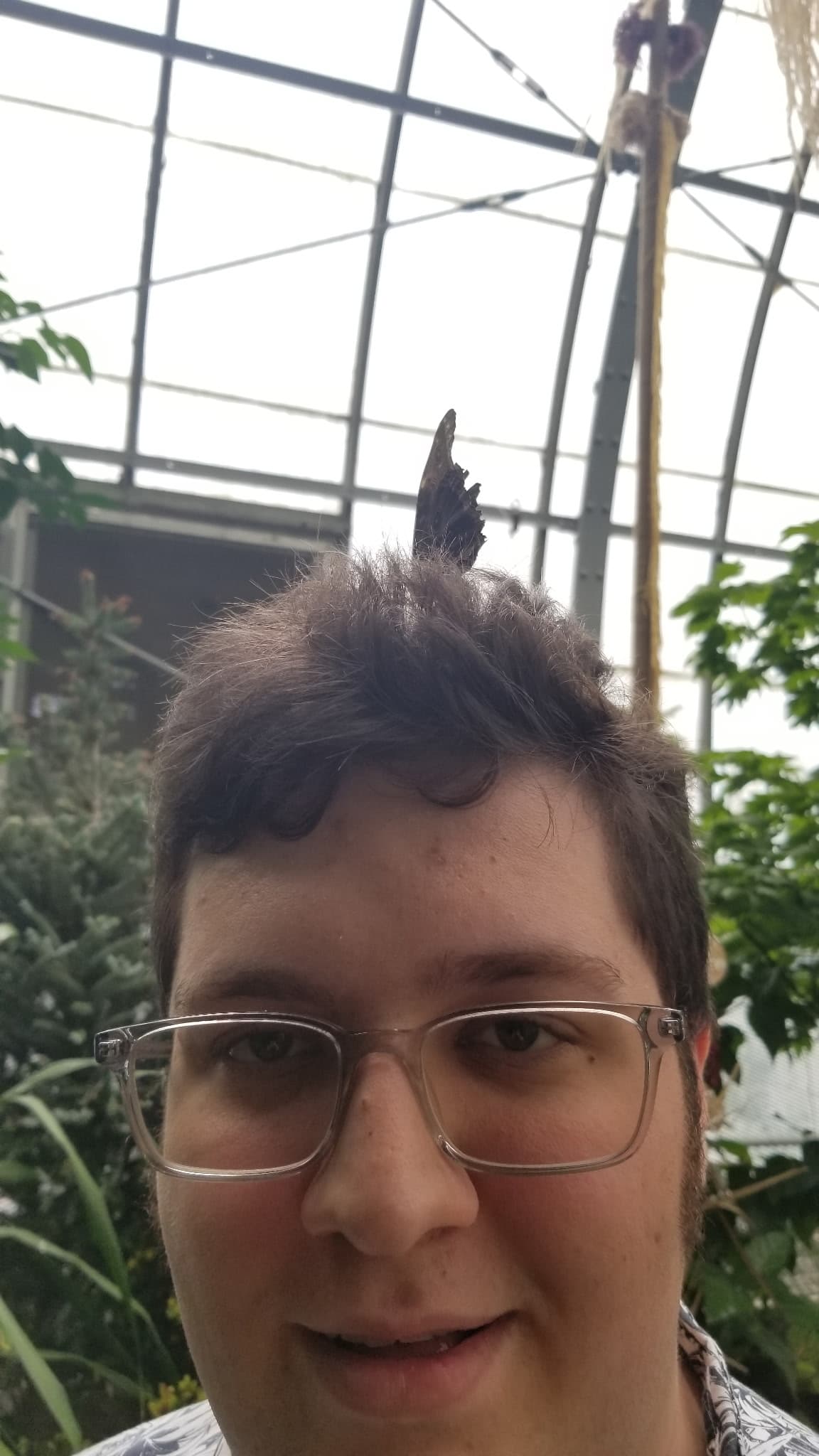A butterfly lands on David's head at a conservatory